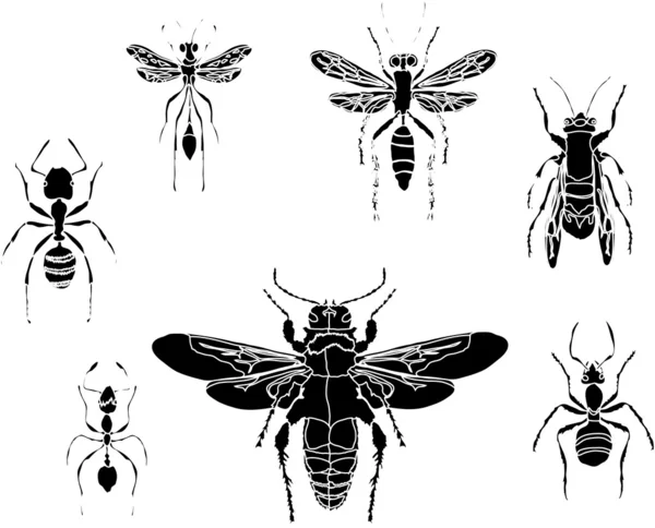 Ants and wasps silhouettes — Stock Vector