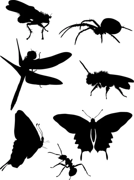 Mosca e outras silhuetas de insetos — Vetor de Stock