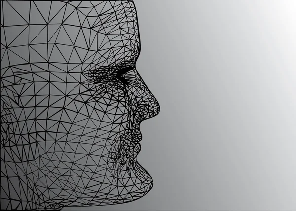 Rahmenwerk des menschlichen Gesichts — Stockvektor