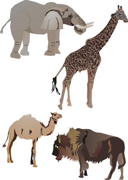 Collection d'animaux — Image vectorielle