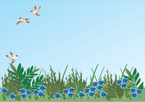 Drie vogels en blauwe bloemen — Stockvector