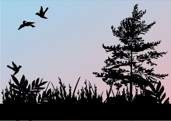 Drie vogels, gras en boom — Stockvector