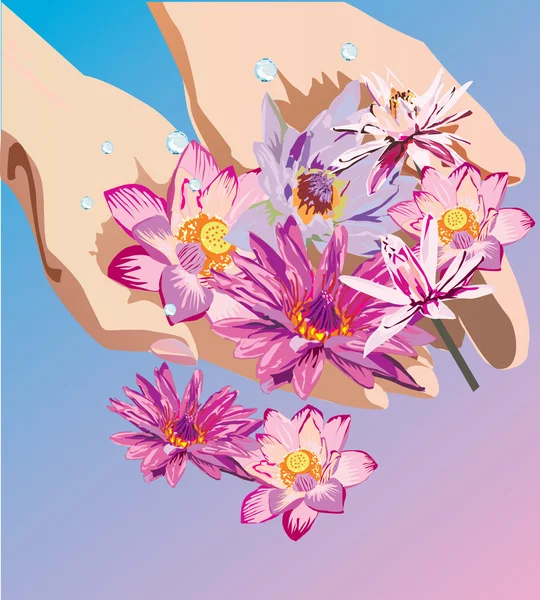 Hands holding lotus — Stock Vector
