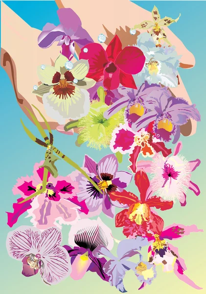 Manos sosteniendo orquídea — Archivo Imágenes Vectoriales