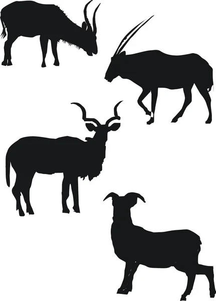 Ilustração com silhuetas de cabra — Vetor de Stock