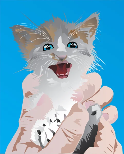 Small kitten on hands — Stock Vector