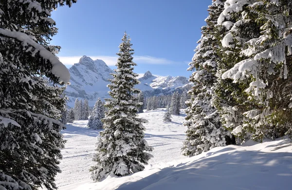 Majestátní alpské pohled. Braunwald, Švýcarsku — Stockfoto