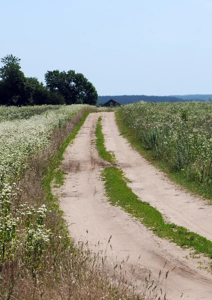 Stock image Dirt road