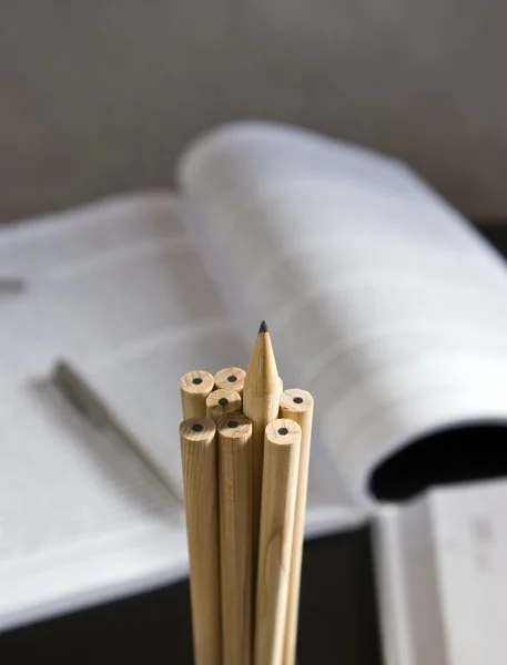 Kívülálló ceruza — Stock Fotó
