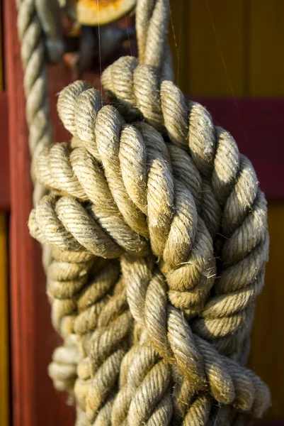 stock image Rope