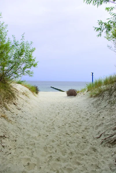 Caminho para a praia — Fotografia de Stock