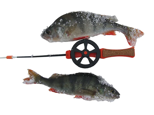 Dos perchas y aparejos de pesca de invierno . — Foto de Stock