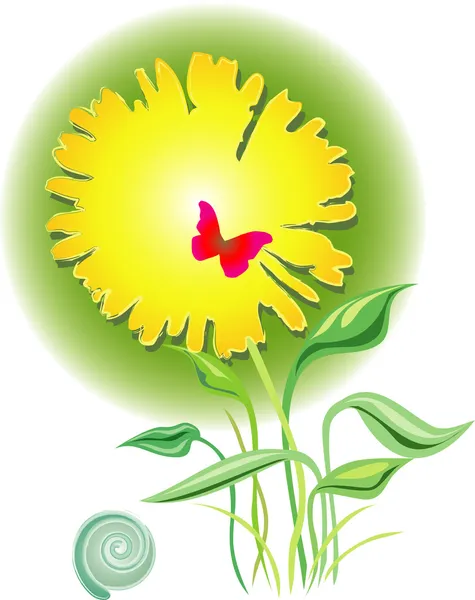 Πικραλίδα λουλούδι — Διανυσματικό Αρχείο