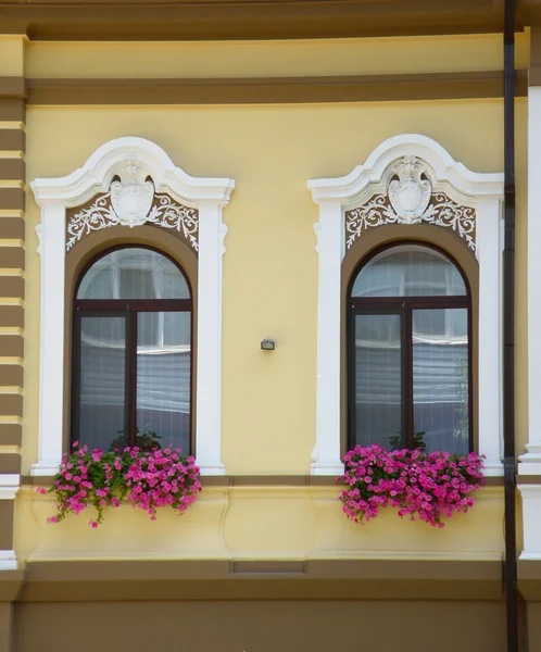 stock image Two windows with flower registration