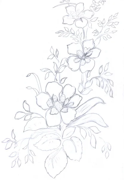 Flowers pattern sketch
