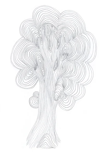 Tammipuun luonnos — kuvapankkivalokuva