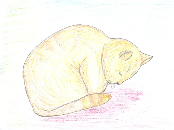 Esboço de gato ruivo adormecido — Fotografia de Stock