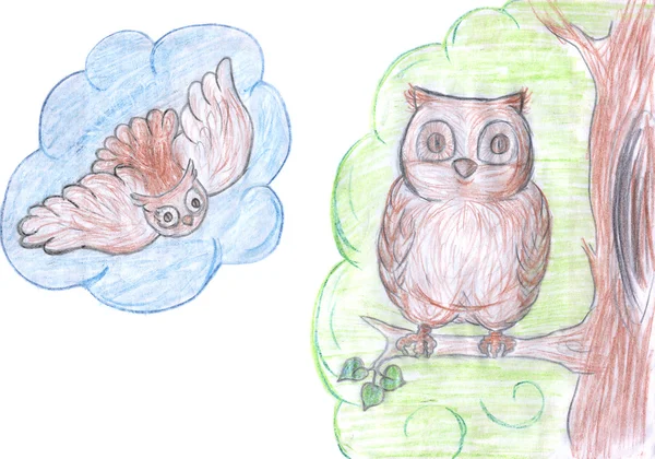Pencil drawing of owl — Stok fotoğraf