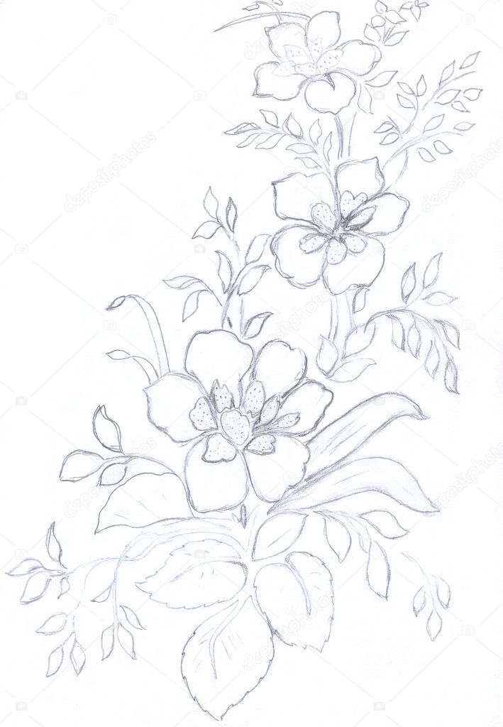 Flowers pattern sketch ⬇ Stock Photo, Image by © nadyaus #1646808