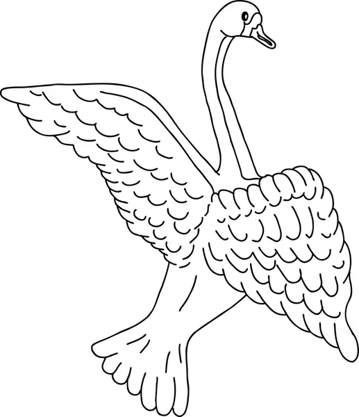Swan sketch, illustration — Stock Vector