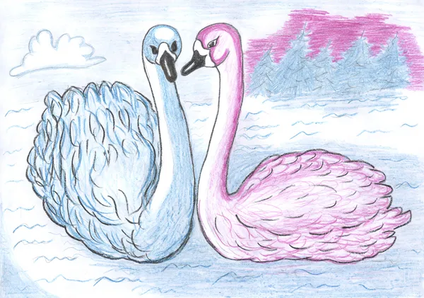 Dos cisnes, dibujo a lápiz de colores —  Fotos de Stock