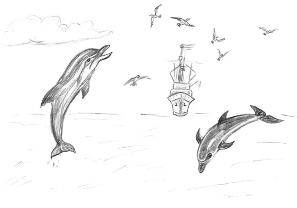 Delfiny, mewy i statek na morzu — Zdjęcie stockowe