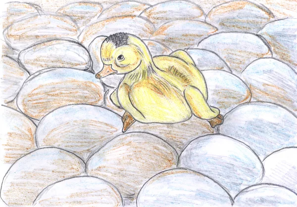 Duckling sitting on eggs, drawing