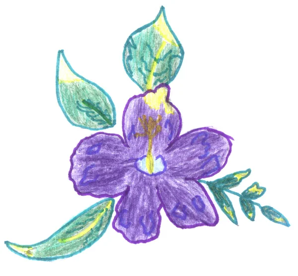 Violet bloem schets — Stockfoto