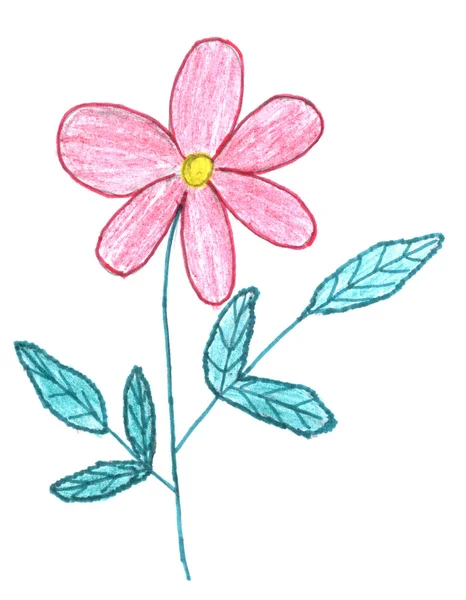 Květina skica — Stock fotografie