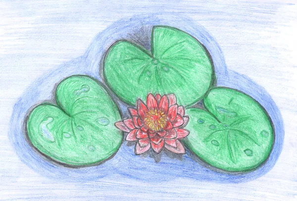 Lotus flower drawing — Stock Photo, Image