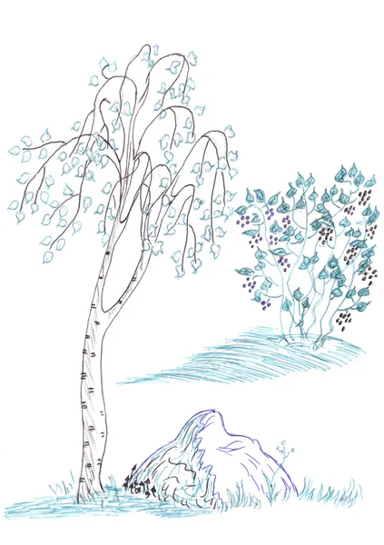 Birch tree drawing — Stock Photo, Image