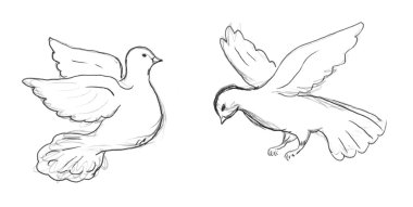 Two dove sketch clipart