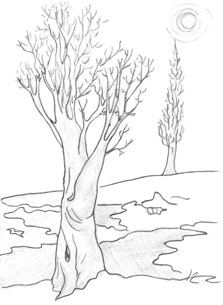 春季解冻，绘图的树 — 图库照片