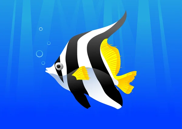 Hermoso pescado — Vector de stock