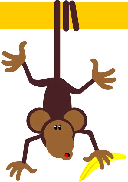 ลิง — ภาพเวกเตอร์สต็อก