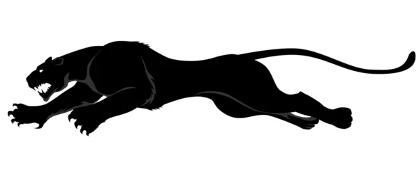 Karanlık vahşi kedi — Stok Vektör