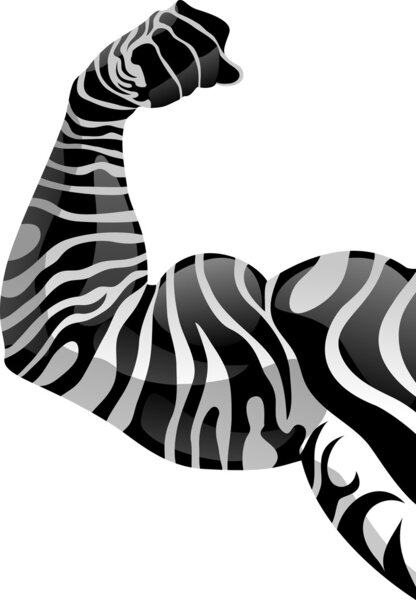 силовая рука
