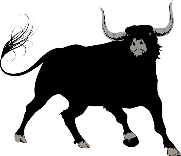 Toro nero — Vettoriale Stock