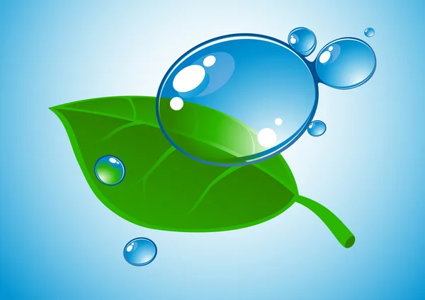 Water drop and leaf Stock Illustration