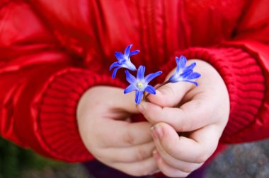 Hands with snowdrops clipart