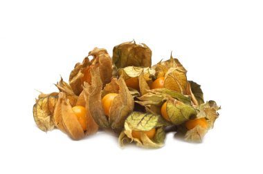 Physalis