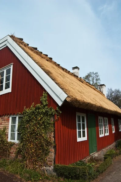 Сцена з стара Шведська життя — стокове фото