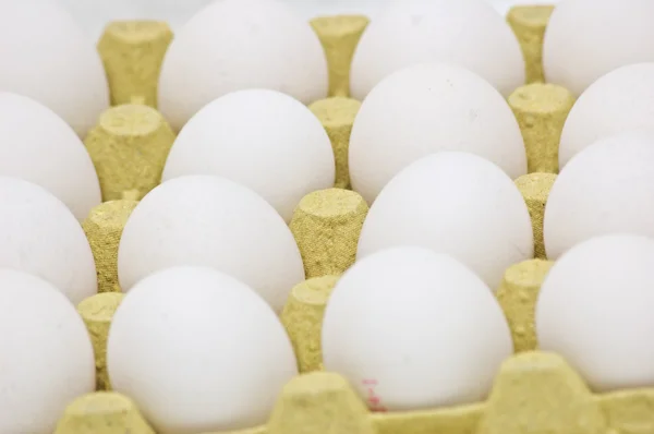 stock image Eggs in box