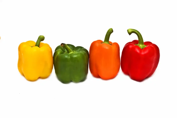 Pimentos coloridos — Fotografia de Stock