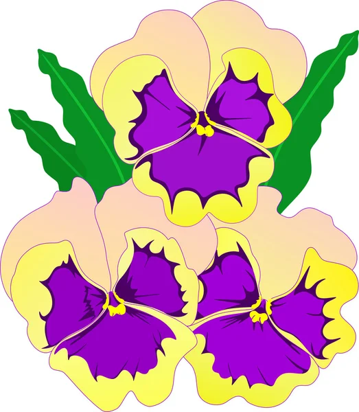 Fleurs culottes — Image vectorielle