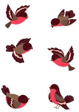 Set funny birds clipart