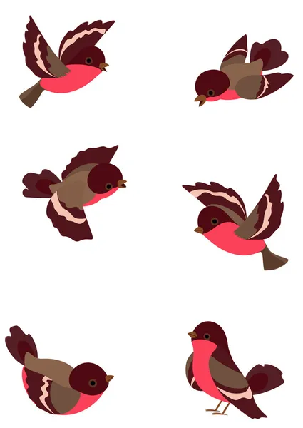 Lustige Vögel setzen — Stockvektor