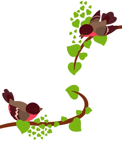 Robin birds on spring branches of tree — Stock Vector