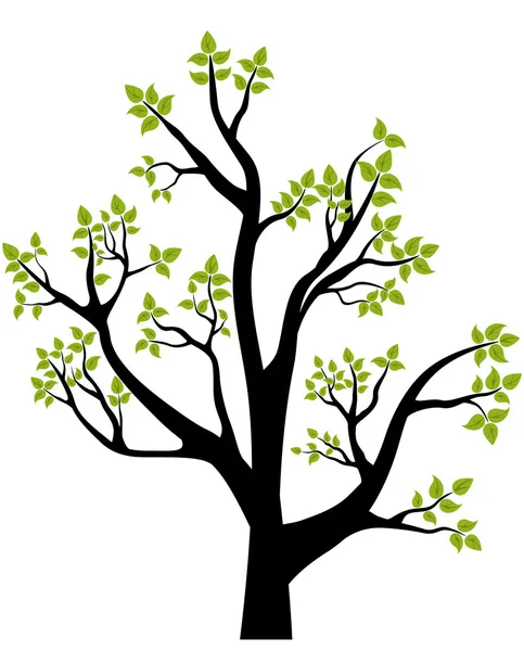 Árbol de primavera Ilustraciones de stock libres de derechos