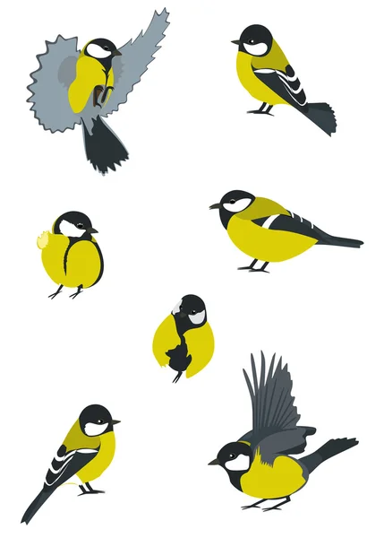 Uppsättning av fåglar — Stock vektor